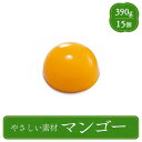介護食 舌でつぶせる やさしい素材 マンゴー メディケア食品 マルハニチロ やわらか食