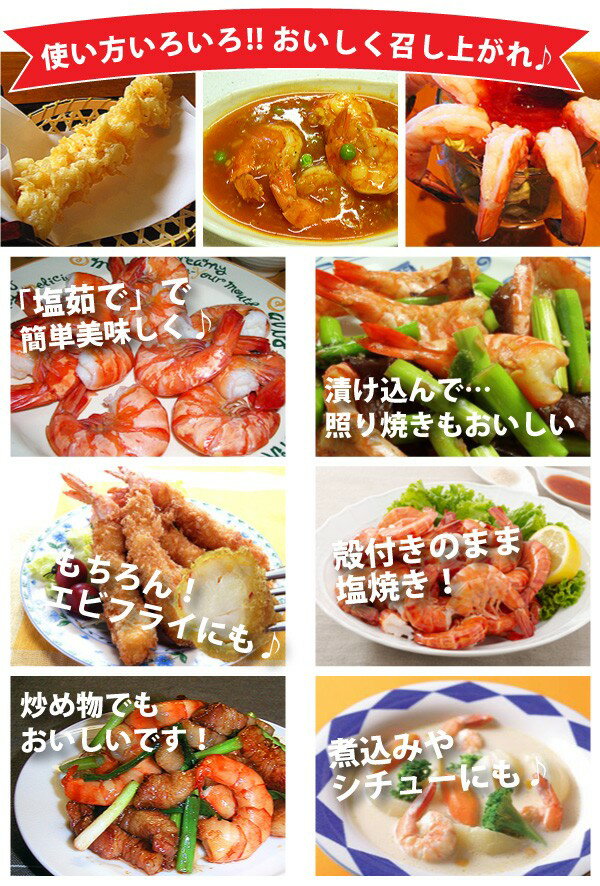 �֥�å��������� ���� ���ճ�Ϸ̵Ƭ 11cm ��16��20�� 450g ���� ��Ϸ ���࿩�� ���࿩�� ��� �쥹�ȥ�� ��Ʋ ������������ ���饪��Ź �ر�� ��ư���� �ϵ�Ź ����վ� �������Τ����� ͼ�� ���� �뿩 �ѡ��ƥ��� ��Ʋ