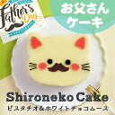 父の日 ケーキ 送料無料 猫 好き 法人注文 まとめ買い 大量注文 スイーツ 猫 22日 2025 冷凍ケーキ チョコ ホールケーキ 4号 プレゼント チョコム...