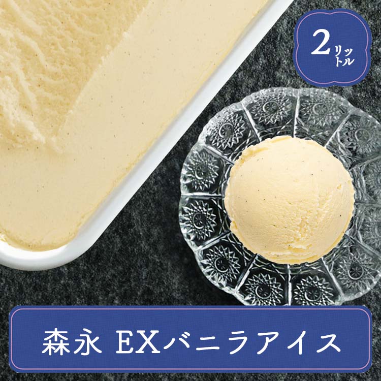 アイスクリーム 業務用 アイス 業務用アイス バニラ 森永 バニラアイスクリーム 2L バルクアイス スイーツ おやつ デザート 食後 食後のデザート 甘いもの イベント 屋台 食材 学園祭 文化祭 食材 家庭用 食べ物