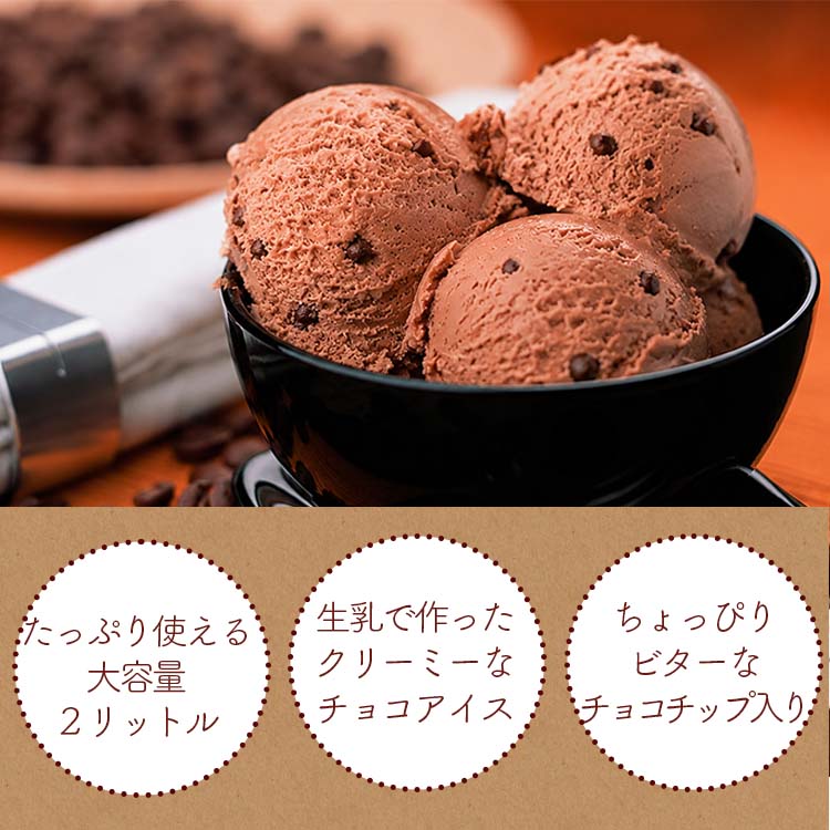 アイスクリーム 業務用 業務用アイス チョコレート 明治 ダブルチョコ 2L スイーツ...