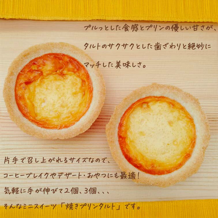 �ۥ磻�ȥǡ� 2026 �������� ������ ����� ʸ���� ��̳�� ������ ˡ����ʸ ������ʸ ͽ�� ���ۻ� ���� ����� ���ۻҵͤ��碌 �Ҷ� ���ե� ���٥�� �Ҷ��� �ر�� �ϵ�Ź �ǥ����� �ع��뿩 ������ �ƥץ�󥿥�� 5�ĥ��å�