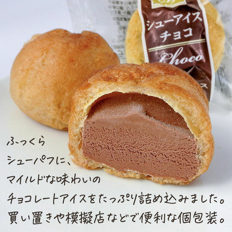 シューアイス 文化祭 業務用 個包装 模擬店 アイスクリーム 詰め合わせ アンデイコ...
