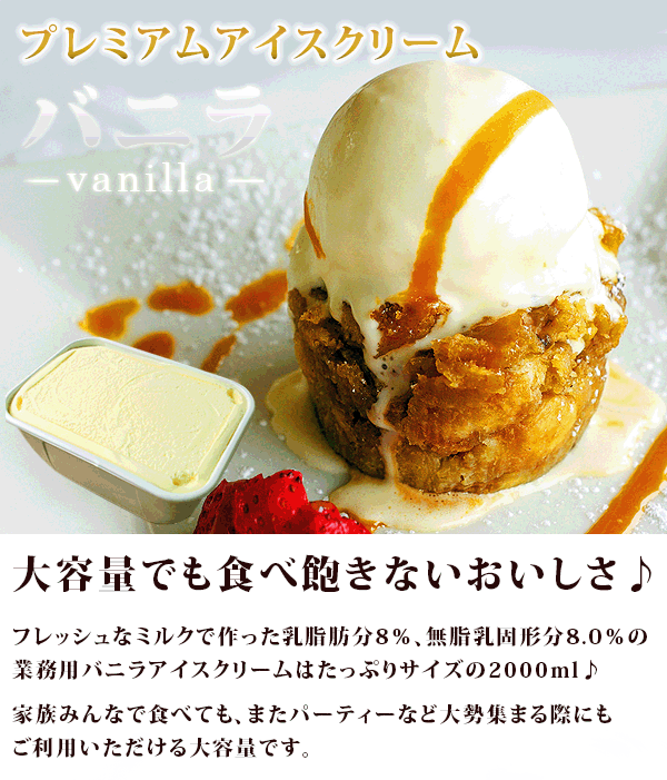 アイスクリーム 業務用 業務用アイス バニラ アイス 弘乳舎 プレミアムバニラ 2L スイーツ おやつ デザート 食後 食後のデザート 甘いもの イベント 屋台 食材 学園祭 文化祭 食材 家庭用 食べ物 アイスクリーム バニラアイスクリーム バニラ アイス バルクアイス