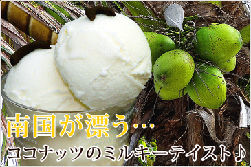 アイスクリーム 業務用 ココナッツミルク 業務用アイス 2リットル 業務用 家庭用 森永 国産 食べ物 バルクアイス