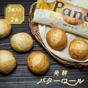 冷凍パン お取り寄せ パン 冷凍 食事パン パンド pan& 高級 無添加 Pan& 発酵 バターロール 【2袋セット】 パン 菓子パン 冷凍食品 お..