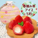 誕生日 ギフトスイーツ 送料無料 お歳暮 クリスマスギフト いちごアイス アイスクリーム アイス いちご 送料無料 2025 楽天 プチギフト あす楽 デザート...