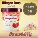 アイスクリーム ギフト お中元 ギフト ハーゲンダッツ アイスクリーム 楽天 2025 スイーツ 詰め合わせ 送料無料 夏ギフト セット 御中元 2025 プレゼント 御祝い 内祝い ハーゲンダッツ パイント ストロベリー 473ml 3個 セット いちごアイス