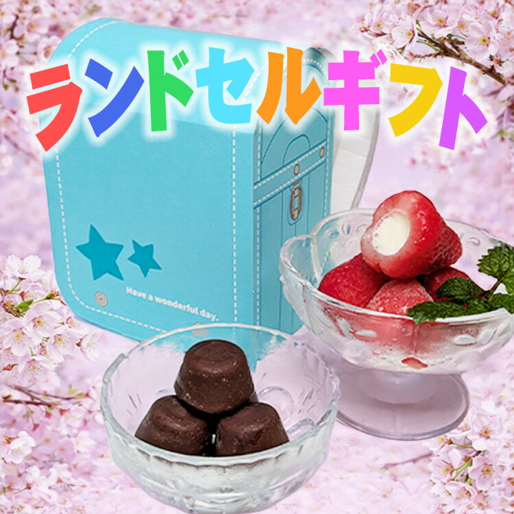 アイスクリーム ギフト 入学祝い 2026 スイーツ ギフト いちご ランドセル アイスクリーム お菓子 春摘み苺アイス＆プチチョコアイス 10粒 個包装 御祝い 出産内祝 法人注文 まとめ買い 大量注文 プレゼント のし対応 あす楽