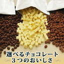 チョコレート 大容量 明治 製菓用 チョコレート クーベルチュール 明治 3種のたっぷりチョコレート (各1kg) スイーツ 手作り おやつ デザート イベント 屋台 学園祭 子供会 製菓材料 クーベルチュール クーベル