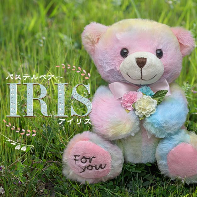 スイーツ ギフト オシャレ プレゼント パステルベアー IRIS アーモンド パステル ぬいぐるみ バースデー 熊 本命 常温便 のし対応
