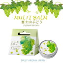 富士山ぶどう マルチバーム マルチクリーム マスカットの香り 甲州ブドウ 葡萄 デイリーアロマジャパン ヘアケア ヘアワックス ネイルケア ハンドクリーム ハンドケア ひじ 手荒れ 香り ヘアケア 乾燥ケア しっとり 日本製 61444 8g 携帯用 缶