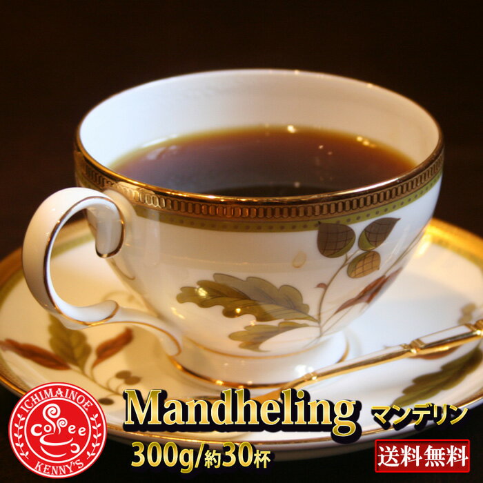 「マンデリン 300g」（約30杯分）特別価格★メール便で送料無料専用メール便150g×2袋で発送【メール便】