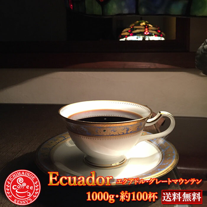 uGNAh 1000gvi100tjʉi3500~zւő500g~2܂ŔyzցzGNAh ecuador  R[q[@蓤@R[q[ R[q[Mtg@蓤