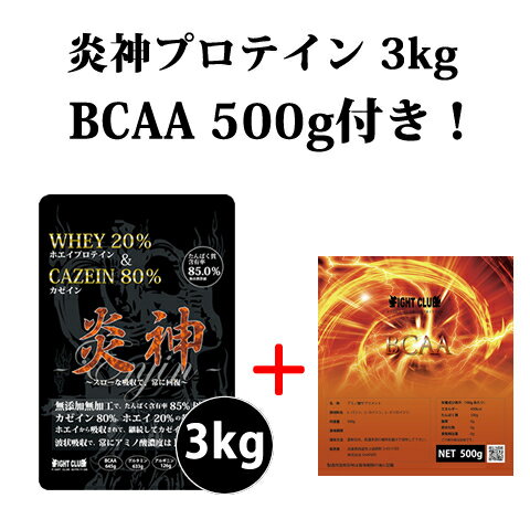 送料無料 BCAA500g付 炎神プロテイン3kg カゼインプロテイン 3kg 徳用3kg プロテイン カゼイン ホエイ 筋トレ トレー…