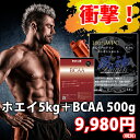 風神プロテインWPC コンセントレート【BCAA500g付き...