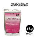 送料無料 L-CARNITINE 2kg 