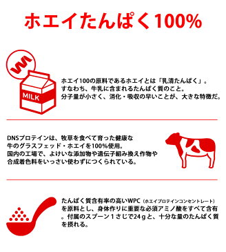 サプリ2,138円分無料 レモン 送料無料 DNSホエイ100 1050g 新製品 レモン味 1,050g 全8味 1kg DNS ホエイプロテイン 国産 プロテイン ドーム プロテインホエイ100 野球 アメフト ラグビー 筋肉 トレーニング 筋トレ レモン風味