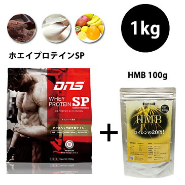 サプリ4,298円分無料 送料無料 HMB100g付 DNS ホエイプロテインSP 1kg ヨーグルト風味 チョコレート風味 フルーツミックス風味 ホエイプロテイン スーパープレミアム 国産 プロテイン ドーム アミノ酸 サプリメント 野球 アメフト ラグビー 筋肉 トレーニング 筋トレ