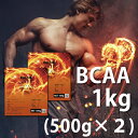 送料無料 BCAA 1kg（500g×2） 国産 無添
