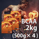 送料無料 BCAA 2kg （500g×4）国産 無添