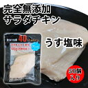 送料無料 無添加 サラダチキン うす塩味 国産鶏 国内製造 全6味 40chicken (50個入り) フォーティーチキン 筋トレ 減量 トレーニング 筋肉 胸肉 常温保存 ダイエット 40