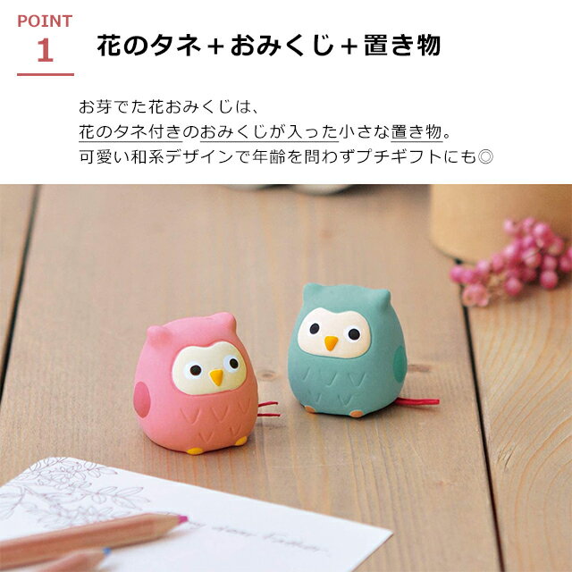 ����ƫ�� ����Ǥ��֤��ߤ��� �֥� ���� ���� �� �� ��ʪ ���ݥ��å� ���ݥ��åȡ������ء�