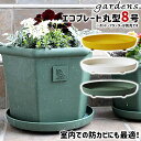 \3000円で5%OFFクーポン/ 受け皿 受皿 エコプレート 丸型 8号 直径24cm 高さ3.5cm 八幡化成 gardens パピエ 【 植木鉢別売り 足...