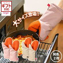 \500円OFFクーポン発行中/ 2個組 鍋つかみ ミトン 耐熱330℃ 手袋 メンズ ミトン 耐熱 オークス leye グッとつかめる耐熱ミトン 大 【 鍋つ...