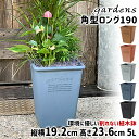 Aؔ  vX`bN  GR|bgp^O 190 5L 19.2cm s19.2cm 23.6cm  gardens A[u y fĂ IV  v K[fjO CeA k lp` z