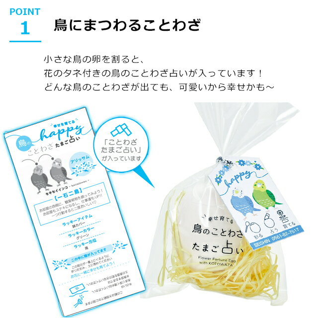 ���ߤ��� ���� ����ƫ�� Ļ�Τ��Ȥ虜���ޤ��ꤤ EG-59 �� ����ƫ�� ���ߤ��� �����դ� ���� �� �����ǥ˥� ��� ���ޤ� ���å� ���襤�� ���ե� �ץ����ե� �ۡ������ء�