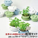 ＼全品5%OFFクーポン有／ 栽培セット ハーブ 聖新陶芸 PLANTS MINE 栽培キット GD-948 【 聖新陶芸 栽培セット 栽培キット ハーブ クローバー 四つ葉のクローバー バジル ワイルドストロベリー 】