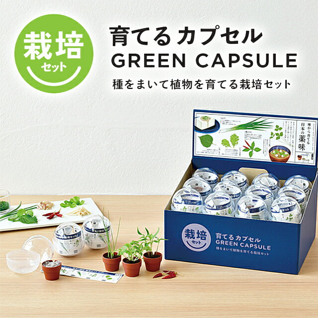 栽培セット カプセル 聖新陶芸 育てるカプセル 薬味 【 聖新陶芸 栽培セット 栽培キット カプセル ランダム 薬味 青じそ 三つ葉 鷹の爪 わさび菜 ねぎ プレゼント 景品 】〈宅配便〉