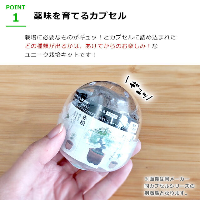 ���ݥ��å� ���ץ��� ����ƫ�� ��Ƥ륫�ץ��� ��̣ �� ����ƫ�� ���ݥ��å� ���ݥ��å� ���ץ��� ������ ��̣ �Ĥ��� ������ ����� �蘆�Ӻ� �ͤ� �ץ쥼��� ���� �ۡ������ء�