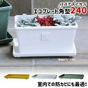 \3000円で5%OFFクーポン/ 受け皿 受皿 鉢皿 パピエ エコプレート 角型 240 幅24.6cm 奥行13.7cm 高さ2.9cm 八幡化成 gard...