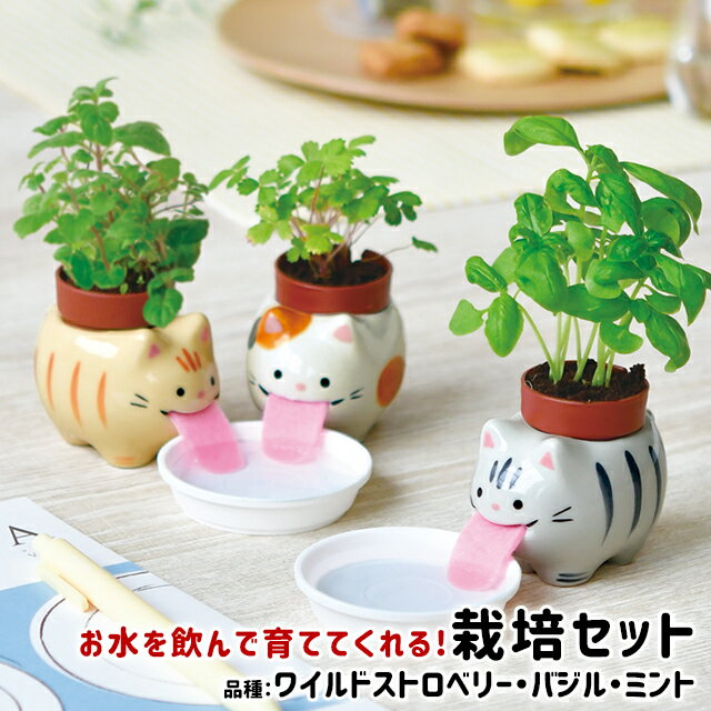 栽培キット ハーブ 聖新陶芸 ペロポン キャッツ 【 聖新陶芸 栽培セット 栽培キット 猫 ねこ ハーブ ワイルドストロベリー バジル ミント 】