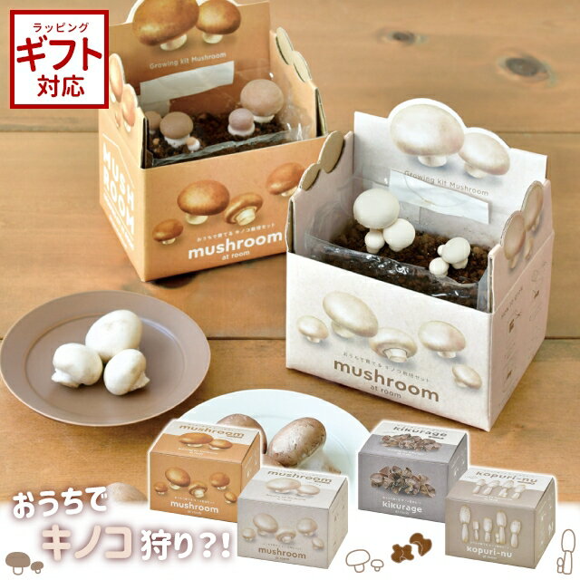 ＼100円OFFクーポン発行中／栽培セット 栽培キット 聖新陶芸 おうちで育てる キノコ栽培セット 【聖新陶芸 栽培セット 栽培キット キノコ きのこ マッシュルーム きくらげ コプリーヌ ギフト】のサムネイル