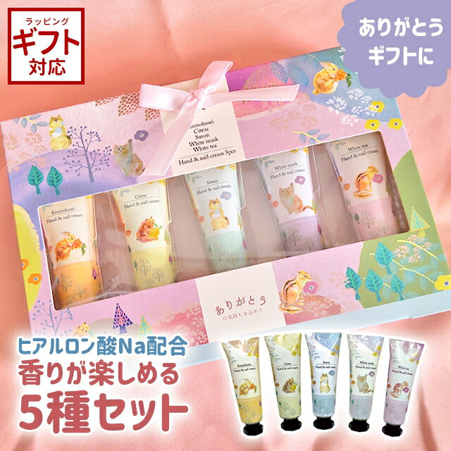 ハンドクリーム ギフトセット プレゼント ほんやら堂 フォレストチャーム ハンドクリーム 5本セット COS88298 【 50g ミニ プチギフト いい香り 女性 レディース 保湿 シアバター シトラス ホワイトティー ムスク キンモクセイ シャボン 】のサムネイル