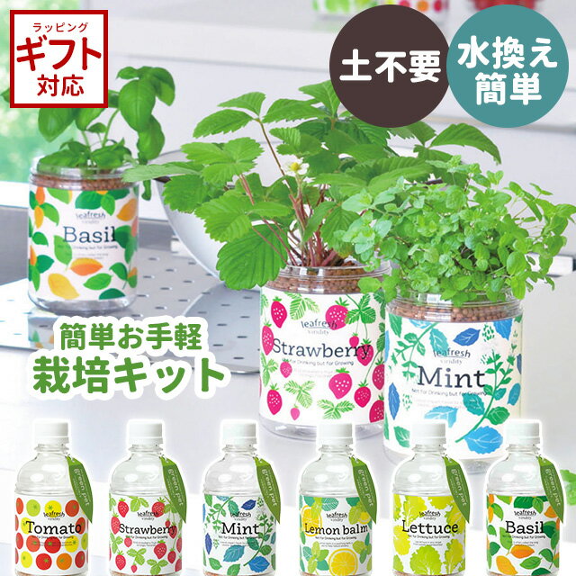 ＼100円OFFクーポン発行中／栽培セット 栽培キット 初心者 聖新陶芸 育てるグリーンペット GD863【野菜 おしゃれ インテリア 手軽 簡単 ペットボトル栽培 室内 屋内 卓上】のサムネイル