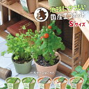 栽培セット 栽培キット 聖新陶芸 エコット S 【聖新陶芸 聖新陶芸 栽培セット 栽培キット ハーブ栽培キット 栽培 家庭菜園 自由研究 再生紙 環境保護 エコ SDGs 室内】