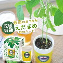 品名 聖新陶芸 育てるえだ豆 栽培セット GD-979 商品詳細 器・土・種、すべてが揃った栽培キット！ 園芸をしたことがない…という方でも安心して育てることができます。 おうちの中で気軽に植物が育つ喜びをお楽しみください♪ こちらの商品は… ビールを注いだグラスのような美濃焼ポットで枝豆を育てる栽培キットです！ 発売以来大人気の枝豆栽培キットがリニューアル☆ フレッシュで鮮やかな枝豆が育つ様子を見守りましょう！ 父の日や敬老の日のプレゼントにもおすすめです◎ 〈栽培情報〉 ■えだ豆 えだ豆は大豆の若いときの呼び名です。 「畑の肉」とも呼ばれ栄養価も高く、お子様のおやつやビールのおつまみに大人気。 採れたての新鮮なうちに茹でたものは格別で、他では味わうことができません。 ●発芽適温：15〜25℃ ●種まき：春まき(4〜6月) ●栽培適温：20〜25℃ ●発芽日数：5〜7日 ●収穫目安：2か月半〜3か月 SPEC size：約幅11.5cm×奥行11.5cm×高さ12.3cm 重さ：約460g セット内容：陶器ポット、培養土、鉢底シート、受け皿、種、説明書 made in Japan 品番/JANコード GD-979/4528757040286 ※サイズは全て外寸になります。 ※製品の仕様変更などに伴い、急遽、生産国などが変わる場合がございます。予めご了承下さい。 ※不明な点がございましたら、お気軽にお問い合わせ下さい。 知っておいて頂きたいこと ※付属の説明書や説明欄がある場合は、よくお読みになってからご使用ください。 〈ご注意〉 ●種や土などをお子様やペットが誤って口にいれないよう、取り扱いには十分気を付けて下さい。 ●種を食用・飼料用に使用しないで下さい。 ●気象条件・地域・標高など栽培環境により生長具合や栽培結果は異なります。 ●栽培時期はあくまでも目安です。適温での種まき、地域や条件に合わせた栽培をおすすめします。 ●種まきは真夏・真冬を避け、管理しやすい時期を選んで下さい。 (発芽・栽培適温に達しない場合は発芽しなかったり、生長不良になる場合があります。) ●栽培を始めるまでは直射日光・高温・湿気を避け、涼しい所で保管して下さい。 ●植物の生長には日光が必要です。ベランダや窓際など、日光の当たる場所で栽培して下さい。&#x279C; この商品は 営業日 13時まで のご注文で翌日お届け 次の場合、翌日お届けはできません ・受付締切時間以降、休業日のご注文 ・翌日お届け対象外の商品との同梱 ・対象エリア以外のお届け ・13時までにご入金が確認できない場合 ・その他、災害や緊急事態により運送に影響が出ている場合 時間指定について 翌日お届けの場合は時間指定ができません。 時間指定をご希望の場合は日付指定をご利用のうえご指定ください。 &#x261B; 詳細は、楽天公式の『あす楽とは』をご確認ください &#x279C; 北海道・沖縄・離島エリア のお客様へ 別途送料加算が発生するケースがございます 別途送料(1,000&#65374;3,500円)が発生するケースがございます。 ※決済にて送料が自動加算されております場合には、そのまま発送致します。 お客様のご了承を確認でき次第の発送となりますため、発送までに通常以上のお時間をいただきます。 代引決済について 代引き決済の場合、別途運賃が加算されるため、お客様のご了承を確認でき次第の発送となります。 発送までに通常以上のお時間をいただきます。 &#x279C; 『取り寄せ』をご注文のお客様へ お客様都合によるキャンセルは、原則お受けいたしかねます。 次の場合、当店よりメールにてご連絡をさしあげます ・商品の長期欠品または廃番 ・お届けまでに1〜2か月お時間をいただく場合 なお、お届けまでに3か月以上お時間をいただく場合は、ご注文キャンセルとさせていただきます。 &#x261B; 詳細は、『取り寄せ商品について』をご確認ください