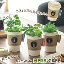 ＼全品5%OFFクーポン有／ 栽培キット 栽培セット 聖新陶芸 育てるカフェ GD-985 【聖新陶芸 栽培セット 栽培キット ハーブ栽培キット 栽培 家庭菜園 自由研究 室内 おしゃれ】