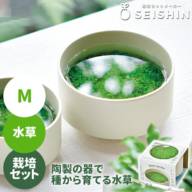 品名 聖新陶芸 水草碗 M GD-987 商品詳細 【こちらは、水草碗Mサイズの商品ページです】 器・土・種、すべてが揃った栽培キット！ 園芸をしたことがない…という方でも安心して育てることができます。 おうちの中で気軽に植物が育つ喜びをお楽しみください♪ こちらの商品は… 種から育てる水草栽培キットです！ 陶製の器は美濃焼の窯元で丁寧に作られています。 涼やかな水面越しに緑を眺める「上見(うわみ)」スタイルで、水草を風流に楽しみましょう♪ 〈栽培情報〉 ■水草 緑色の草体が美しい水草。 育てやすく手入れなどの手間がかからないので初心者さんにおすすめです。 ●発芽適温：22〜26℃ ●種まき：3〜10月 ●栽培水温：20〜28℃ ※気温が低い時期の種まきは、温かい室内で発芽適温を確保して下さい。 ●発芽日数：3〜5日以上 SPEC size：約幅13.3cm×奥行12.9cm×高さ8cm 重さ：約600g セット内容：陶器、土、種、説明書 made in Japan 品番/JANコード GD-987/4528757040415 ※サイズは全て外寸になります。 ※製品の仕様変更などに伴い、急遽、生産国などが変わる場合がございます。予めご了承下さい。 ※不明な点がございましたら、お気軽にお問い合わせ下さい。 知っておいて頂きたいこと ※付属の説明書や説明欄がある場合は、よくお読みになってからご使用ください。 〈ご注意〉 ●種や土などをお子様やペットが誤って口にいれないよう、取り扱いには十分気を付けて下さい。 ●種を食用・飼料用に使用しないで下さい。 ●気象条件・地域・標高など栽培環境により西洋具合や栽培結果は異なります。 ●栽培時期はあくまでも目安です。適温での種まき、地域や条件に合わせた栽培をおすすめします。 ●種まきは真夏・真冬を避け、管理しやすい時期を選んで下さい。 (発芽・栽培適温に達しない場合は発芽しなかったり、生長不良になる場合があります。) ●栽培を始めるまでは直射日光・高温・湿気を避け、涼しい所で保管して下さい。 ●植物の生長には日光が必要です。ベランダや窓際など、日光の当たる場所で栽培して下さい。&#x279C; この商品は 営業日 13時まで のご注文で翌日お届け 次の場合、翌日お届けはできません ・受付締切時間以降、休業日のご注文 ・翌日お届け対象外の商品との同梱 ・対象エリア以外のお届け ・13時までにご入金が確認できない場合 ・その他、災害や緊急事態により運送に影響が出ている場合 時間指定について 翌日お届けの場合は時間指定ができません。 時間指定をご希望の場合は日付指定をご利用のうえご指定ください。 &#x261B; 詳細は、楽天公式の『あす楽とは』をご確認ください &#x279C; 北海道・沖縄・離島エリア のお客様へ 別途送料加算が発生するケースがございます 別途送料(1,000&#65374;3,500円)が発生するケースがございます。 ※決済にて送料が自動加算されております場合には、そのまま発送致します。 お客様のご了承を確認でき次第の発送となりますため、発送までに通常以上のお時間をいただきます。 代引決済について 代引き決済の場合、別途運賃が加算されるため、お客様のご了承を確認でき次第の発送となります。 発送までに通常以上のお時間をいただきます。 &#x279C; 『取り寄せ』をご注文のお客様へ お客様都合によるキャンセルは、原則お受けいたしかねます。 次の場合、当店よりメールにてご連絡をさしあげます ・商品の長期欠品または廃番 ・お届けまでに1〜2か月お時間をいただく場合 なお、お届けまでに3か月以上お時間をいただく場合は、ご注文キャンセルとさせていただきます。 &#x261B; 詳細は、『取り寄せ商品について』をご確認ください