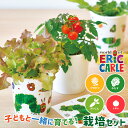 栽培セット 栽培キット 聖新陶芸 はらぺこあおむし ペタペタ&すくすく栽培セット HP-01 【聖新陶芸 はらぺこあおむし 栽培セット 栽培キット 栽培 家庭菜園 自由研究 室内 かわいい】 その1