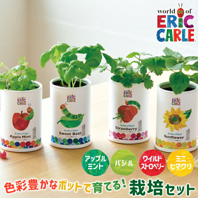 ＼全品5%OFFクーポン有／ 栽培セット 栽培キット 聖新陶芸 はらぺこあおむし なかよし栽培セット HP-02 【聖新陶芸 はらぺこあおむし 栽培セット 栽培キット ハーブ栽培キット 栽培 家庭菜園 自由研究 室内 かわいい】のサムネイル