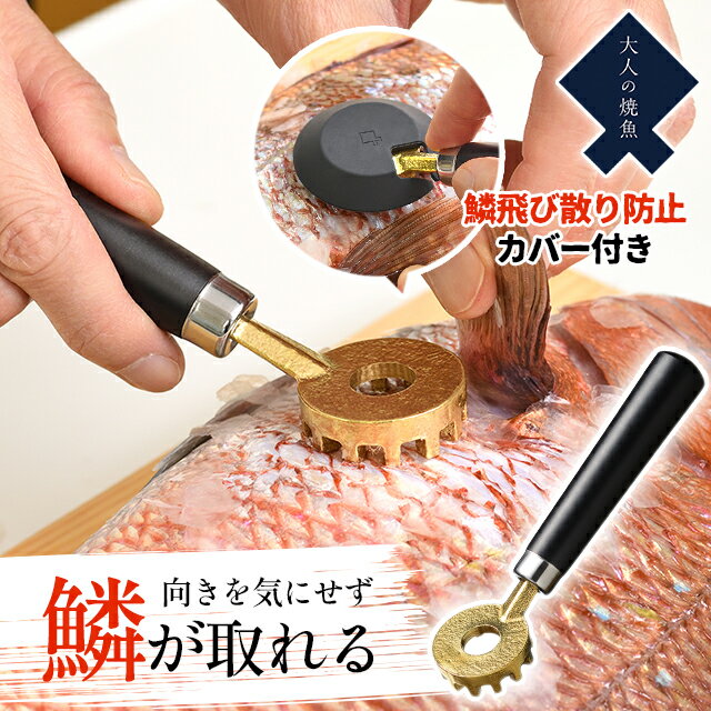 品名 オークス 大人の焼魚 鱗とり 商品詳細 【大人の焼魚シリーズ】 大人気のオークス「大人の焼魚シリーズ」から、うろこ取りが登場しました！ 1.扱いやすい小ぶりな丸型ヘッド 円形に突起がついている丸型ヘッドだから、どの方向からでも身に沿わせてうろこをとることができます。 うろこの飛び散りを抑えるシリコンカバー付き。 2.昔ながらの真鍮製 業務用としても使用される真鍮製は魚の身にやさしい◎ 3.こだわりのハンドル角度 シンクの中でも使いやすい設計です。 4.安心の燕三条ブランド 高温で溶けた真鍮材を型に流し込み成型。 冷え固まると、燕三条職人がひとつひとつ丁寧に磨き上げています。 魚をより手際よく美しく調理するためのこだわりが詰まった大人の焼魚シリーズ。 プレゼントにぴったりなギフトボックス仕様です。 SPEC size：約全長15.8cm×幅5.7cm×高さ3cm 重さ：約85g 素材：先端部/真鍮鋳物 　　　桂/ステンレス鋼（クロム18％） 　　　ハンドル/天然木（ウレタン塗装） 　　　カバー/シリコーンゴム made in Japan 品番/JANコード OTS8013/4905343080138 ※サイズは全て外寸になります。 ※製品の仕様変更などに伴い、急遽、生産国などが変わる場合がございます。予めご了承下さい。 ※不明な点がございましたら、お気軽にお問い合わせ下さい。 知っておいて頂きたいこと ※付属の説明書や説明欄がある場合は、よくお読みになってからご使用ください。 ●食器洗い乾燥機はご使用いただけません。あらかじめご了承ください。大人の焼魚 炭グリル 購入ページ▲ 骨すき包丁▲ 鱗とり▲ 骨ぬき▲ 魚がえし▲ &#x279C; この商品は 営業日 13時まで のご注文で翌日お届け 次の場合、翌日お届けはできません ・受付締切時間以降、休業日のご注文 ・翌日お届け対象外の商品との同梱 ・対象エリア以外のお届け ・13時までにご入金が確認できない場合 ・その他、災害や緊急事態により運送に影響が出ている場合 時間指定について 翌日お届けの場合は時間指定ができません。 時間指定をご希望の場合は日付指定をご利用のうえご指定ください。 &#x261B; 詳細は、楽天公式の『あす楽とは』をご確認ください &#x279C; 北海道・沖縄・離島エリア のお客様へ 別途送料加算が発生するケースがございます 別途送料(1,000&#65374;3,500円)が発生するケースがございます。 ※決済にて送料が自動加算されております場合には、そのまま発送致します。 お客様のご了承を確認でき次第の発送となりますため、発送までに通常以上のお時間をいただきます。 代引決済について 代引き決済の場合、別途運賃が加算されるため、お客様のご了承を確認でき次第の発送となります。 発送までに通常以上のお時間をいただきます。 &#x279C; 『取り寄せ』をご注文のお客様へ お客様都合によるキャンセルは、原則お受けいたしかねます。 次の場合、当店よりメールにてご連絡をさしあげます ・商品の長期欠品または廃番 ・お届けまでに1〜2か月お時間をいただく場合 なお、お届けまでに3か月以上お時間をいただく場合は、ご注文キャンセルとさせていただきます。 &#x261B; 詳細は、『取り寄せ商品について』をご確認ください