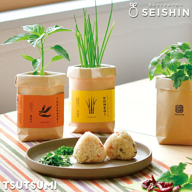 ＼3000円で5%OFFクーポン／ 栽培キット 栽培セット 聖新陶芸 TSUTSUMI GD-996 【聖...