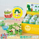 ＼全品5%OFFクーポン有／ 栽培キット 栽培セット 聖新陶芸 はらぺこあおむし 育てるカプセル クリア HP-05 【聖新陶芸 はらぺこあおむし 栽培セット 栽培キット 育てるカプセル カプセル ランダム ガチャガチャ ハーブ プレゼント 景品 ノベルティ】