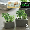 栽培セット 栽培キット 聖新陶芸 プランツブロック S GD-983 【聖新陶芸 栽培セット 栽培キット ハーブ栽培キット 栽培 家庭菜園 自由研究 ミント バジル ハーブ 室内】