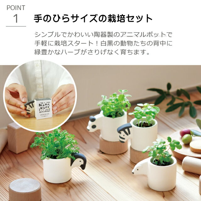 ���ݥ��å� ���ݥ��å� ����ƫ�� ��Υ������˥ޥ� GD-1007 ������ƫ�� ���ݥ��å� ���ݥ��å� �ϡ��ֺ��ݥ��å� ���� �����ڱ� ��ͳ���� ���� �������ۡ������ء�